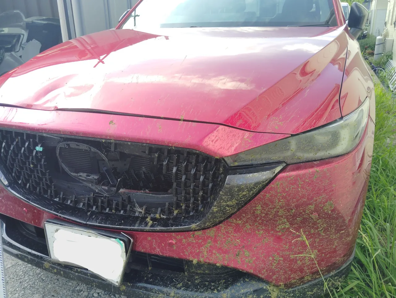 CX-8 鹿と衝突した前まわりを部品交換と46V塗装｜横浜市都筑区 ケービーエス